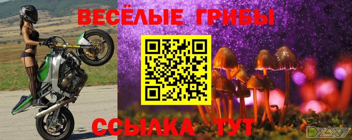 Псилоцибиновые грибы ЛСД Рязань