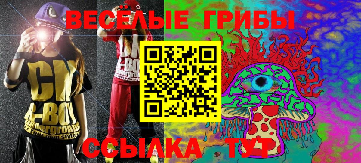Рязань  Галлюциногенные грибы Psilocybine cubensis  Вход с VPN  Галлюциногенные грибы Psilocybine cubensis 