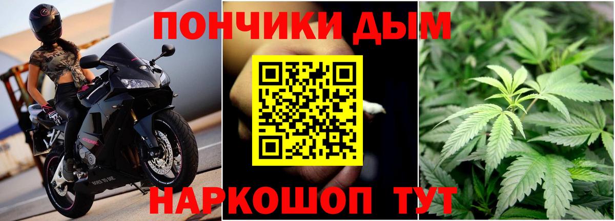 Конопля гибрид  Канабис SATIVA & INDICA  Рязань  Вход с VPN 